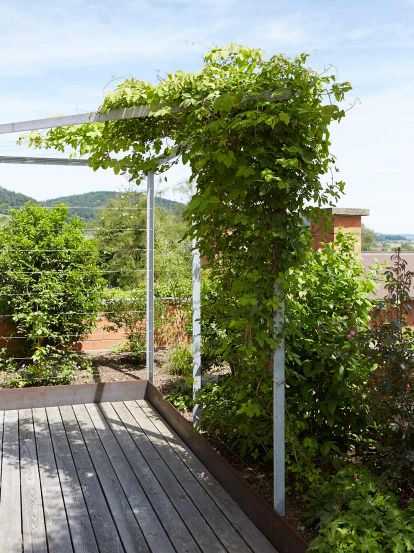 Lärchenholz-Terrasse mit Stahlabschlüssen und begrünter Laube